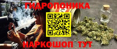 а пвп мука Аргун