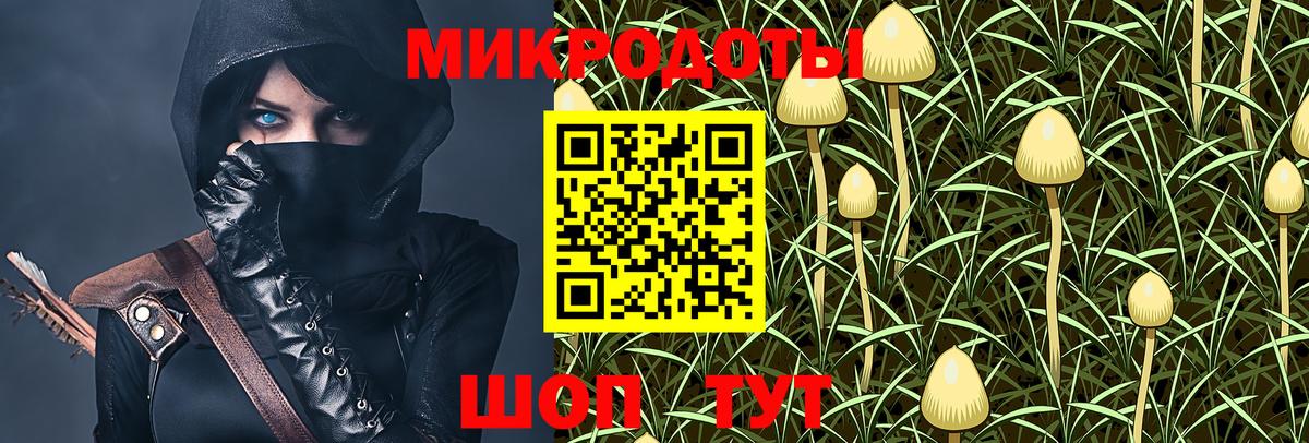 Аша  Галлюциногенные грибы Magic Shrooms  Вход с VPN 