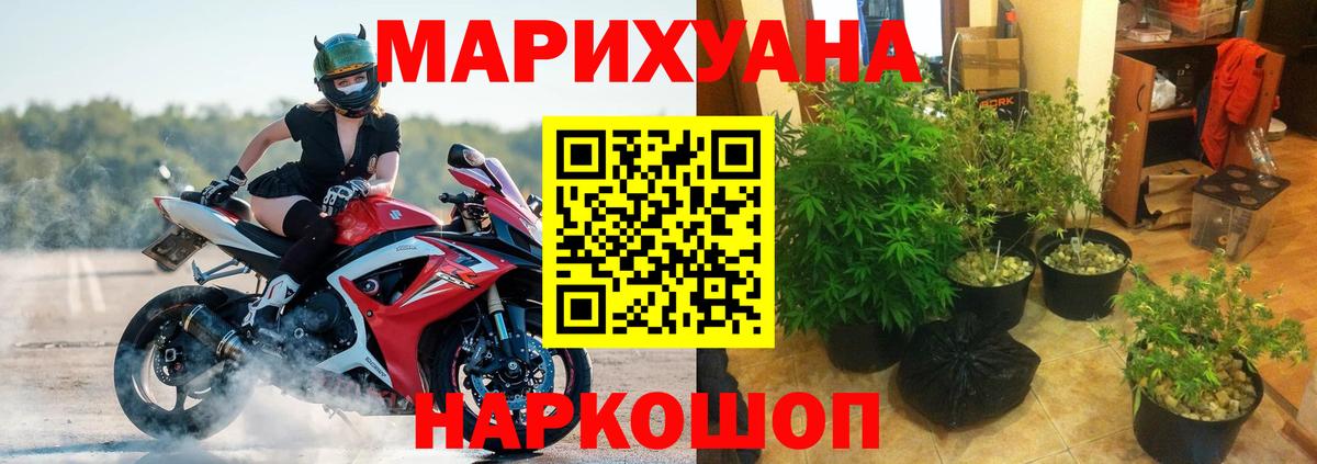 Конопля тримм  Марихуана Ganja  Бошки Шишки LSD WEED  Вход с VPN  Канабис ГИДРОПОН  Аша 